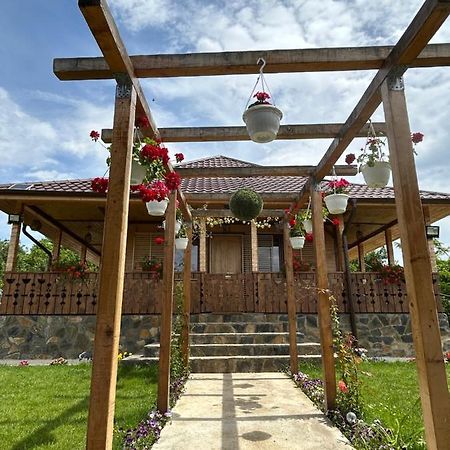 Casa Eden Fit Villa Faget  Dış mekan fotoğraf