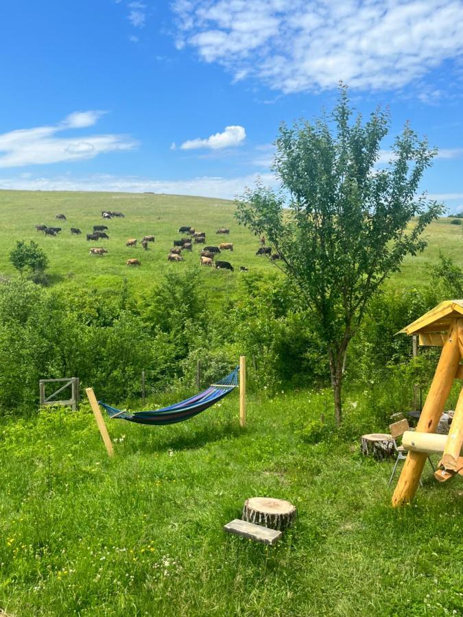 Casa Eden Fit Villa Faget  Dış mekan fotoğraf