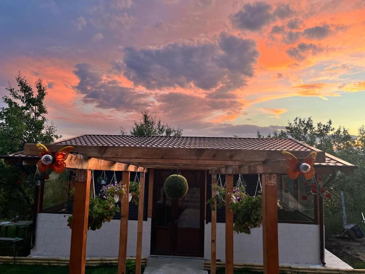Casa Eden Fit Villa Faget  Dış mekan fotoğraf