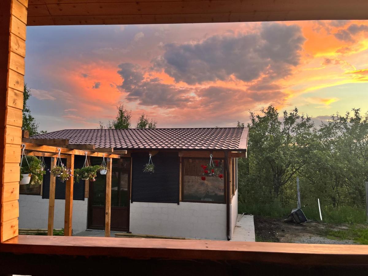 Casa Eden Fit Villa Faget  Dış mekan fotoğraf