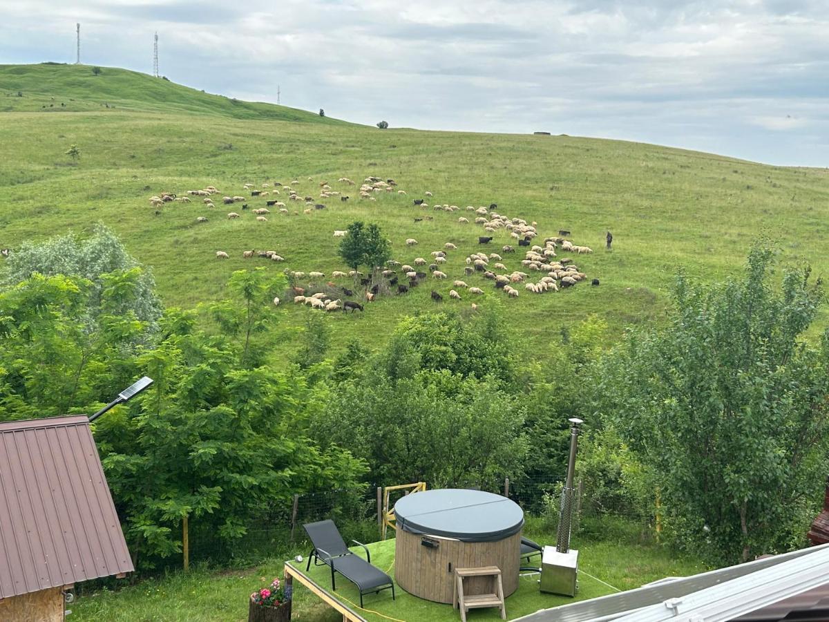 Casa Eden Fit Villa Faget  Dış mekan fotoğraf